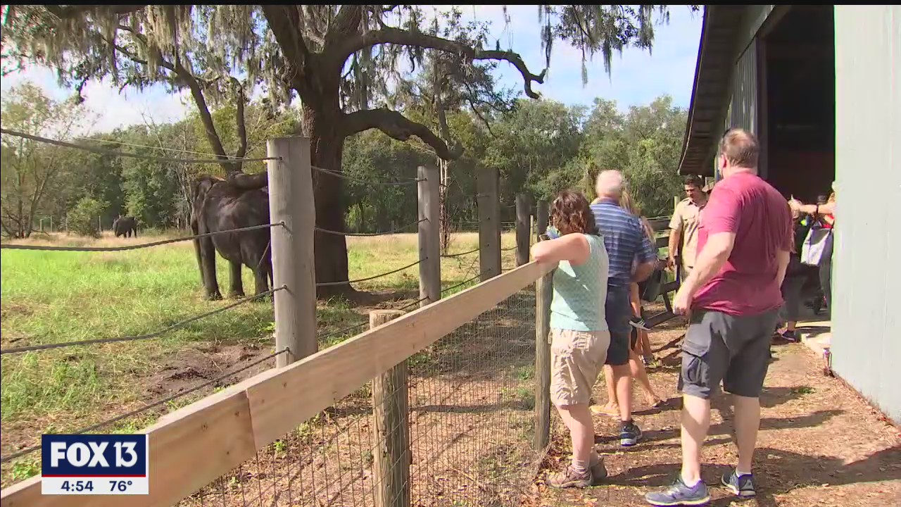 Myakka Elephant Ranch hidden gen of Florida