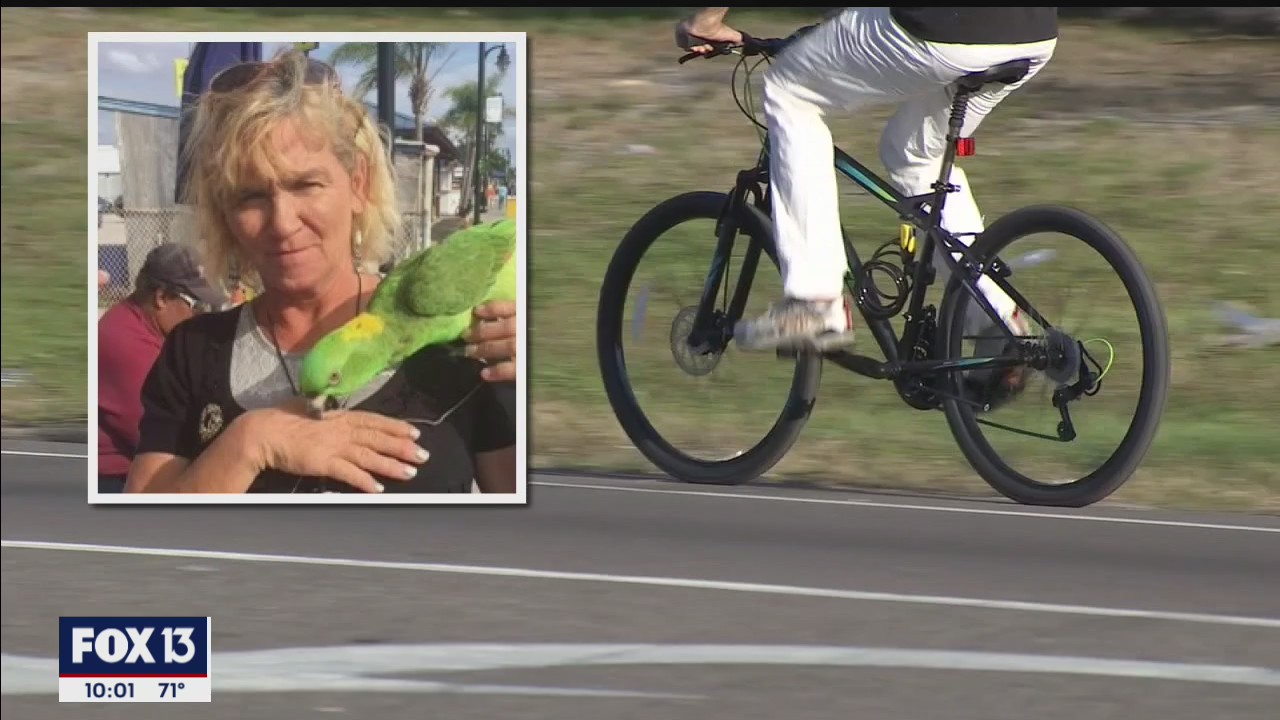 Bicyclist hit and killed | FOX 13 Tampa Bay