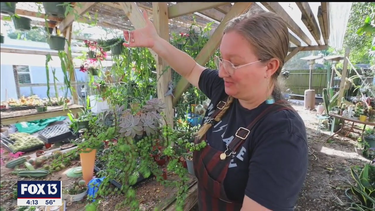 Made in Tampa Bay O'Berry's Succulents in St. Pete