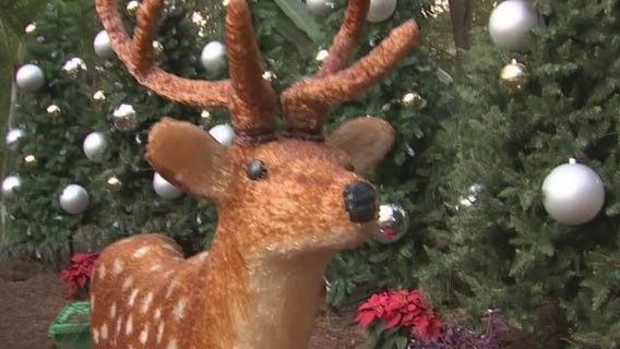 'Tis the season for 'Christmas in the Wild'