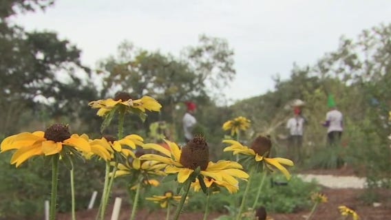 Safety Harbor's newest city park is open