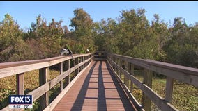 Expereince Florida at Boyd Hill Nature Preserve