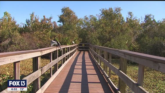 Expereince Florida at Boyd Hill Nature Preserve