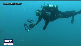 Learn to scuba dive with Jim's Dive Shop