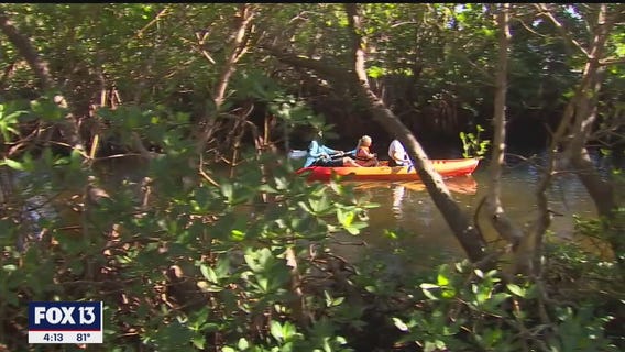 The shell middens of Emerson Point Preserve