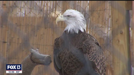 This sanctuary focuses on well-being of birds