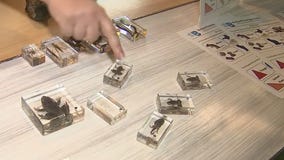 Explore history and natureBradenton's Bishop Museum