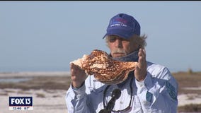 Shelling along the Intracoastal