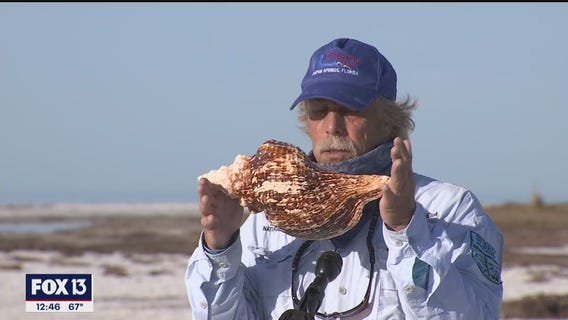 Shelling along the Intracoastal
