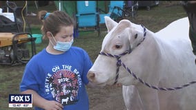 Polk County Youth Fair celebrates Florida agriculture