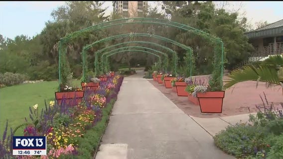 An ode to classic art and popular culture at Marie Selby Botanical Gardens