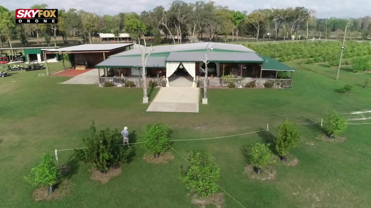 Drone Zone: Lemon orchard on the lake wedding venue