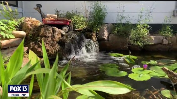 Little Red Wagon Native Nursery is teaching the benefits of planting native plants