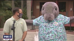 What's new at the zoo