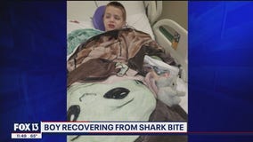 Boy recovering from shark bite