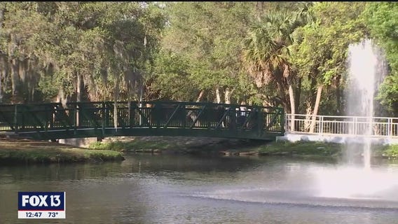 Arlington Park & Aquatic Complex in Sarasota offers something for anyone