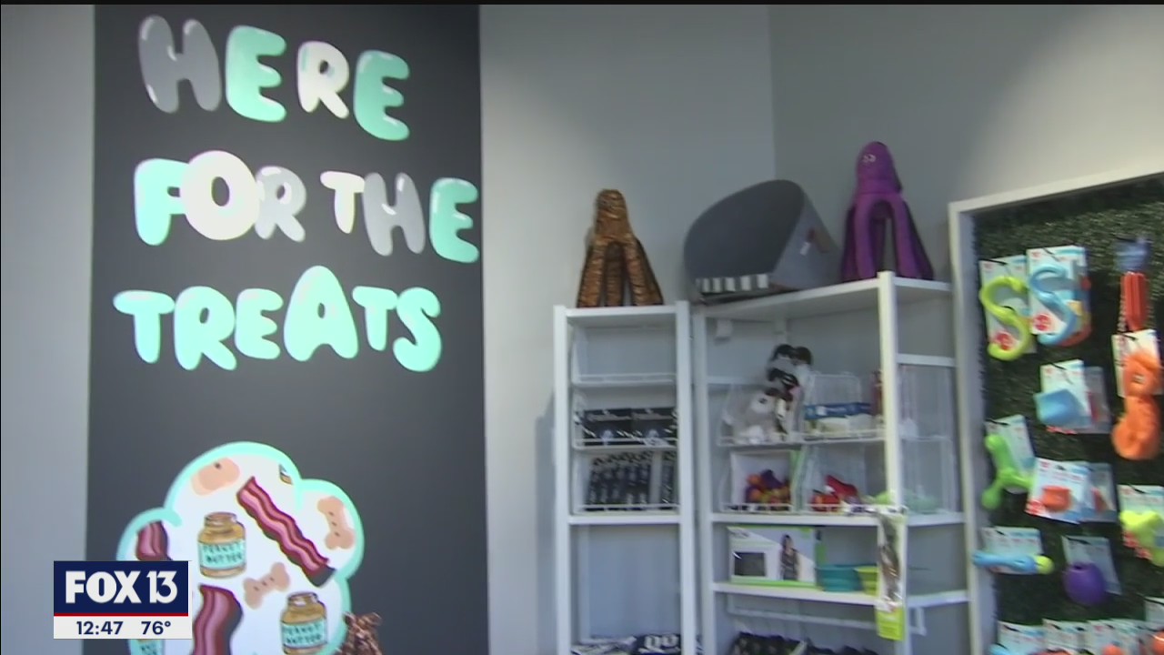 Modern Paws emphasizes holistic natural care