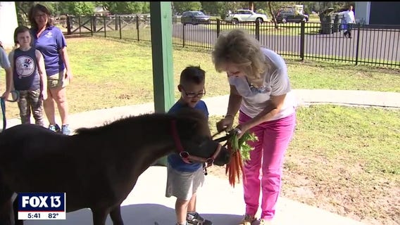 Meet the stars of 'Hold Our Horses'