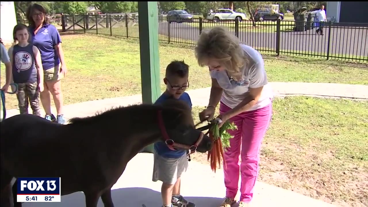 Meet the stars of 'Hold Our Horses'