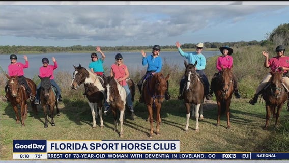 Great Rides: Horses of Florida Sport Horse Club