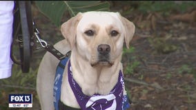 Southeastern Guide Dogs launches national walk-a-thon on Saturday.