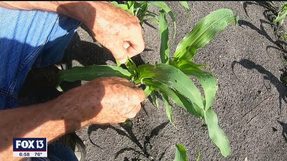 Couple celebrates 38 years of Cracker Country volunteerism