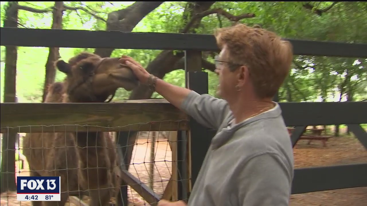 Helping animals and kids at Horsepower