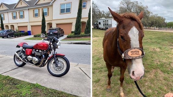 Great Rides: 2010 Triumph Thruxton and ?Sting?
