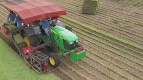 Drone Zone: Bay Breeze Farms sod fields