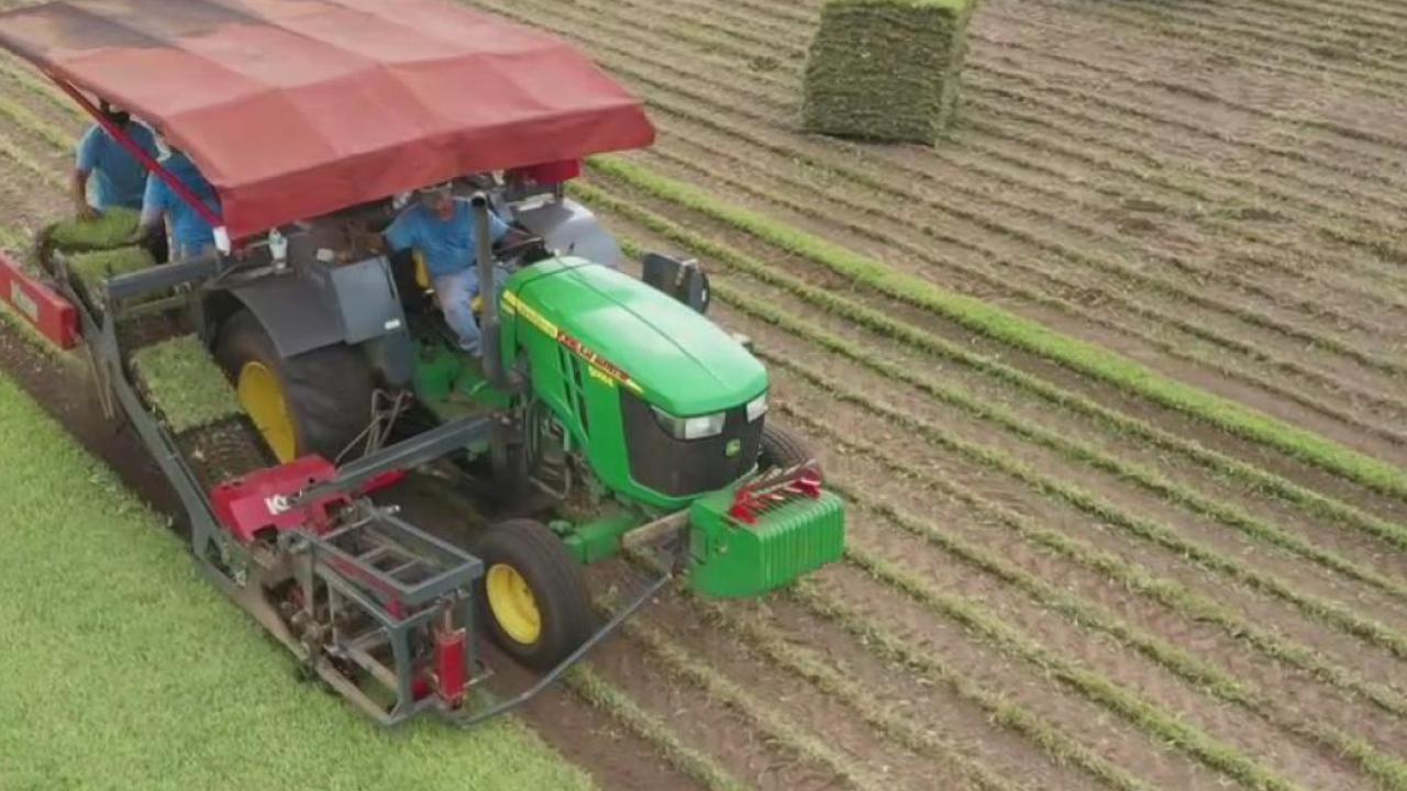 Drone Zone: Bay Breeze Farms sod fields