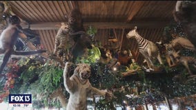 Popular Florida restaurant combines exotic food, taxidermy