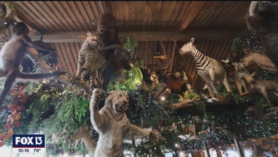 Popular Florida restaurant combines exotic food, taxidermy