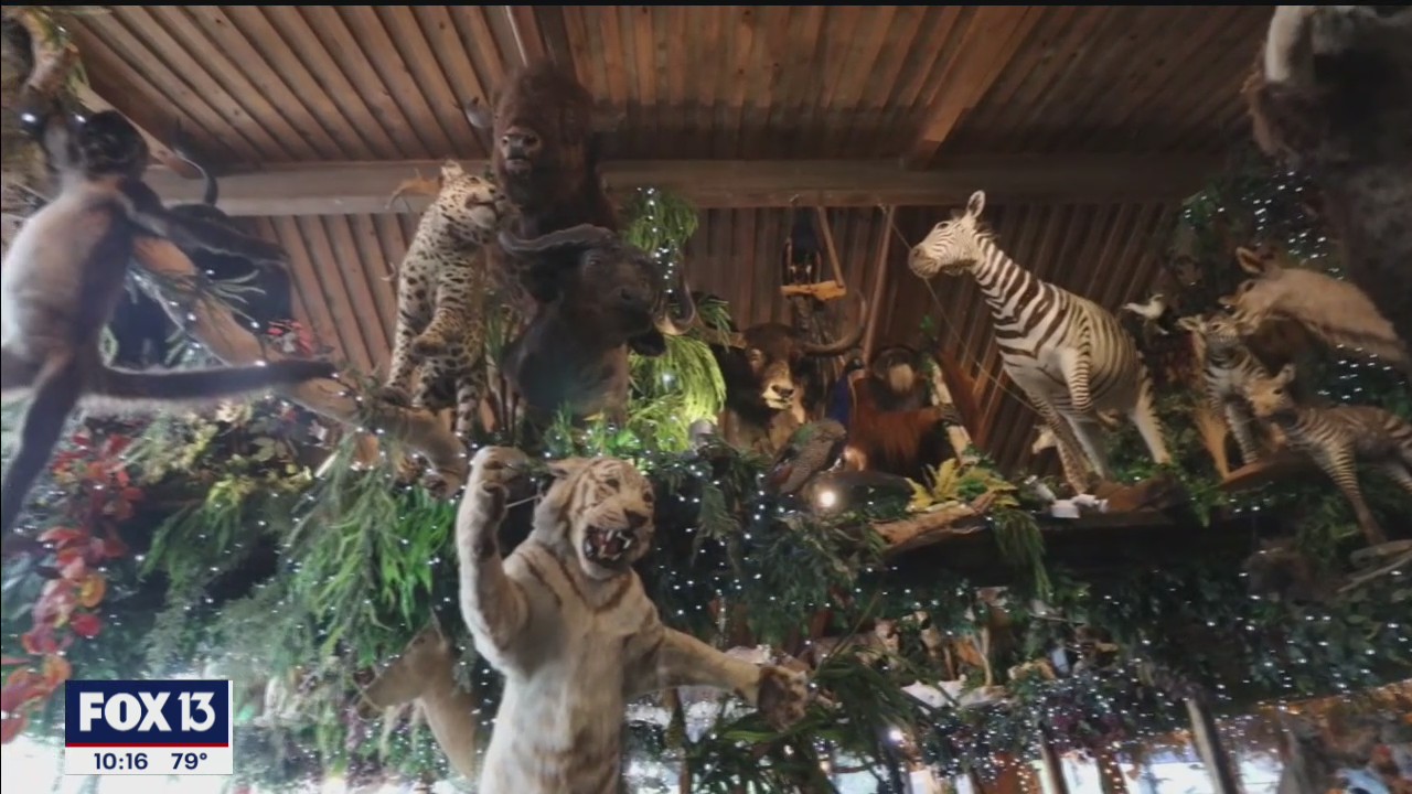 Popular Florida restaurant combines exotic food, taxidermy
