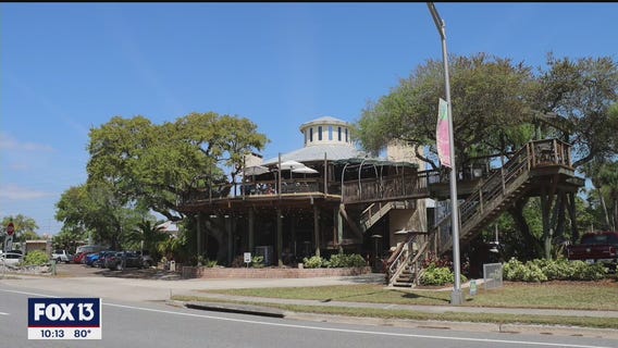 Dine in the canopy at Norwood's