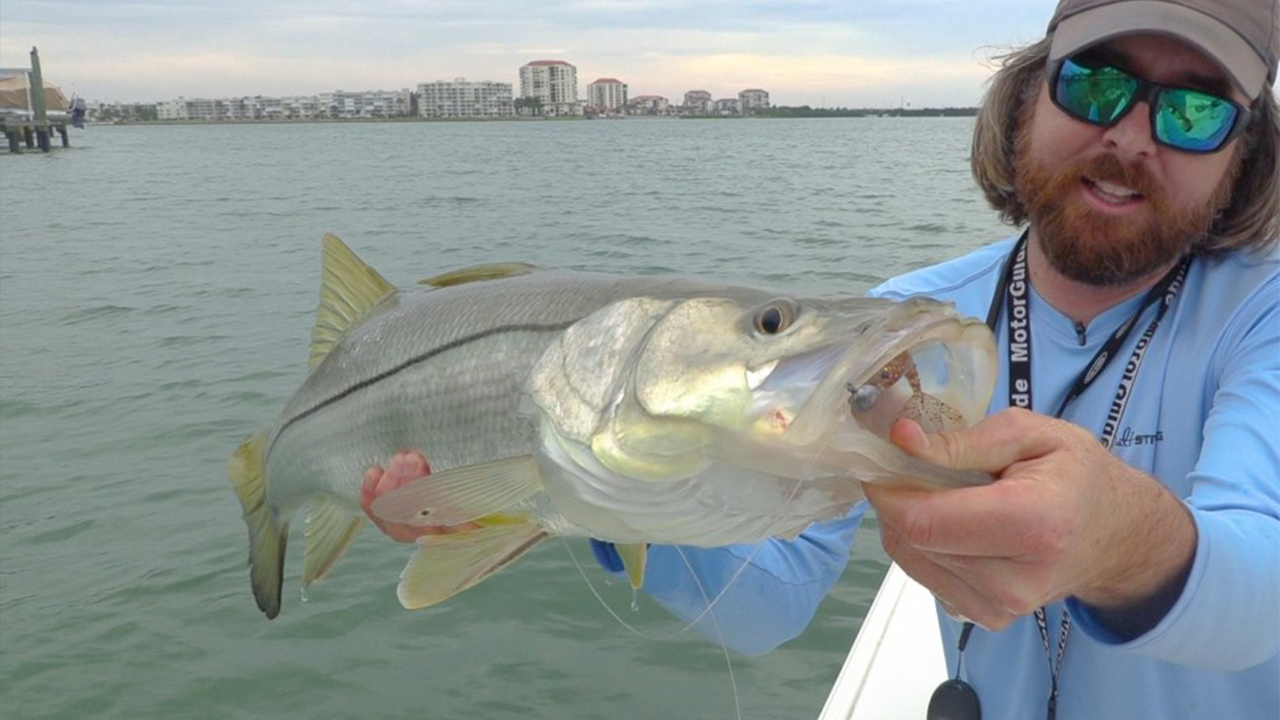 More snook are moving inshore