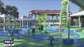 It's a much different Memorial Day weekend at The Florida Aquarium