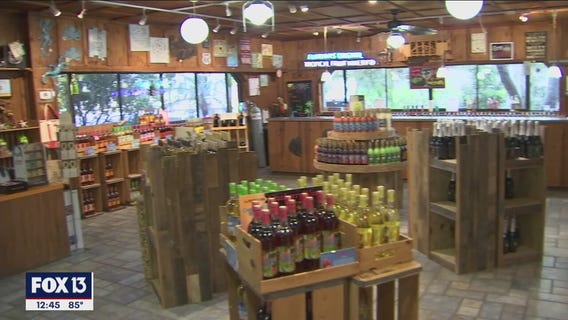Local family turns a citrus grove business into successful winery
