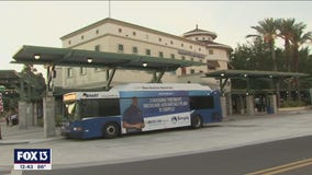 The wheels on the bus go all around Tampa