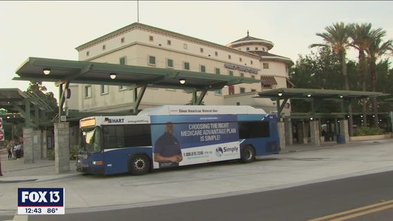 The wheels on the bus go all around Tampa