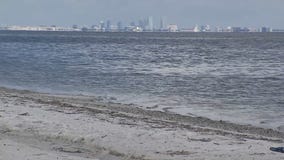 It?s license-free saltwater fishing weekend in Florida