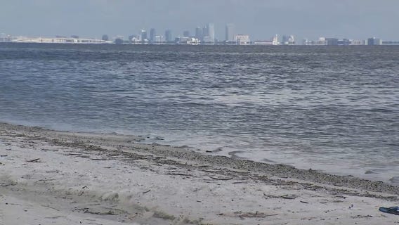 It?s license-free saltwater fishing weekend in Florida