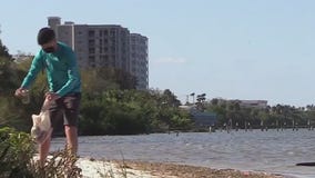 Cleanups underway on World Oceans Day