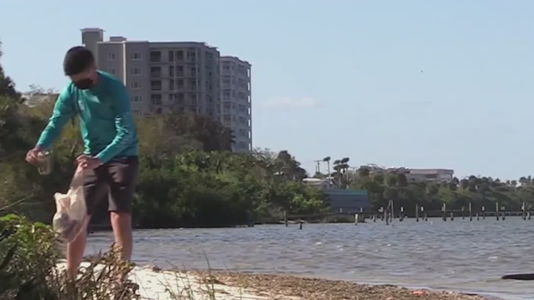 Cleanups underway on World Oceans Day