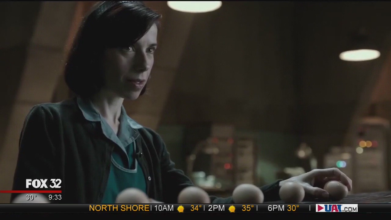 Zwecker speaks with the stars of 'Shape of Water'