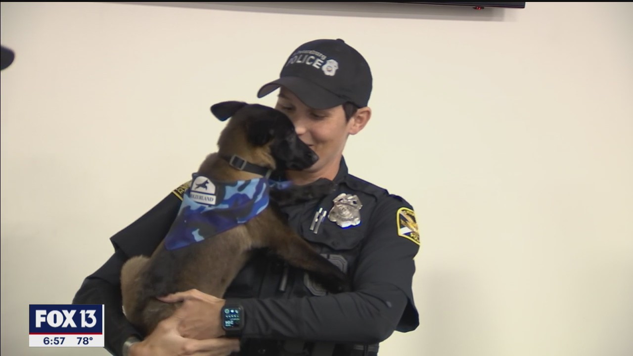 Veteran thanked for service with puppy