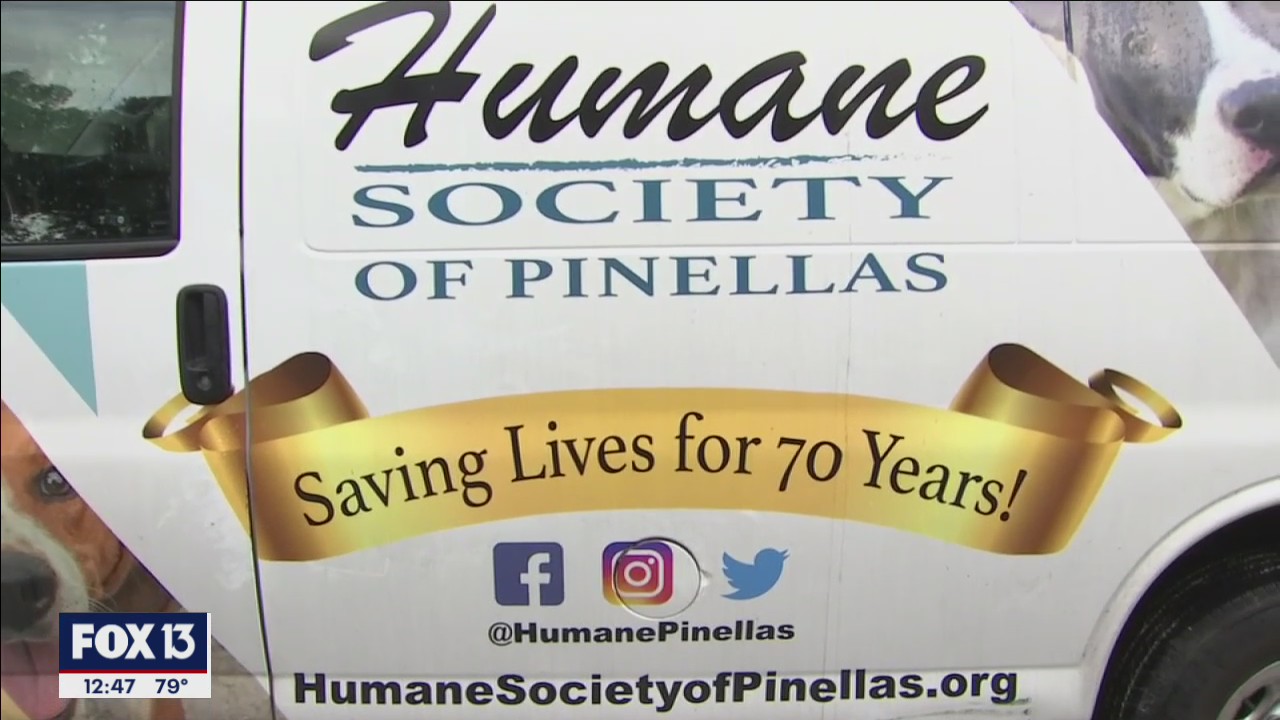 ThunderBus rolls into Clearwater to educate families about pet anxiety ahead of the holiday weekend