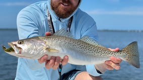 Trout bite remains steady inshore