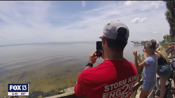 How to see a rocket launch in Cape Canaveral