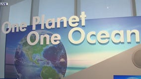 Tampa Bay Watch Discovery Center is teaching the importance of protecting Tampa Bay