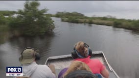 Untouched areas of Florida only accessible by airboat